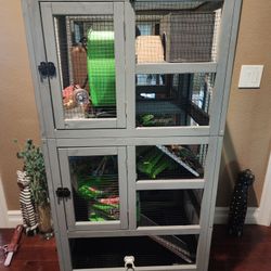 4 Level Cage for Small Pet ( Free)