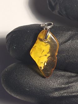 Natural Quality Baltic Amber Pendant