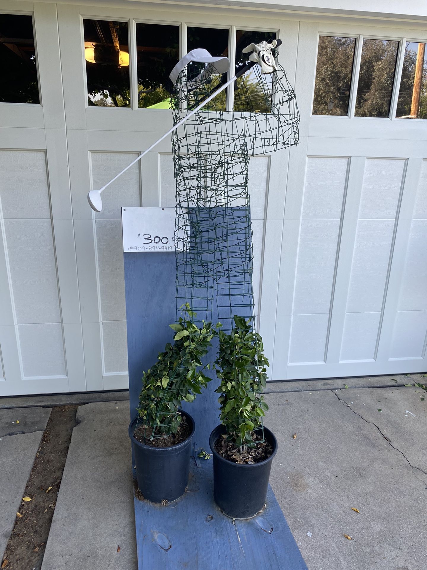 Topiary Plant ( Golfer Man )