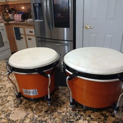 Professional Bongos