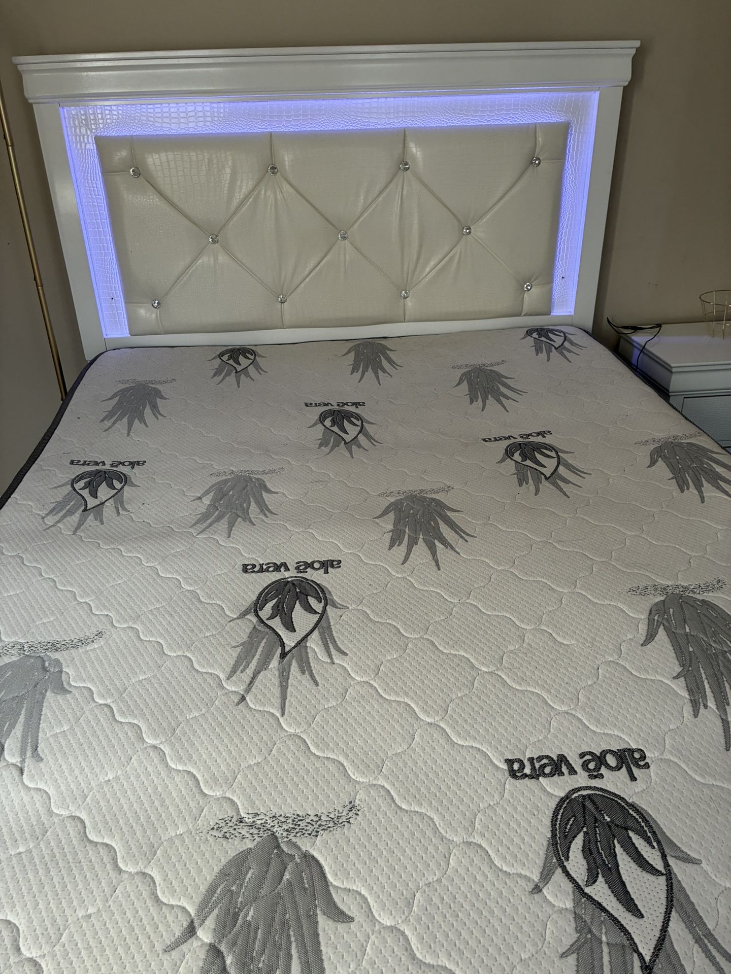 Everything U See Here Gotta Go Asap