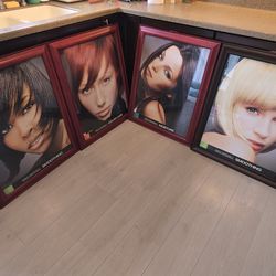 Paul Mitchell Salon Advertising Posters in Gallery Frames