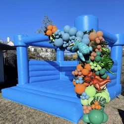 Commercial Grade Bounce House