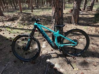 Trek rail 2021