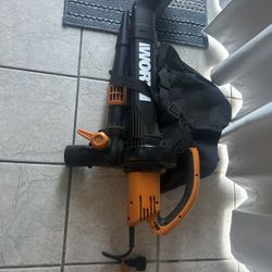 Blower Electric With Bag It’s A Worx 
