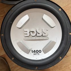 Boss 12" Subs