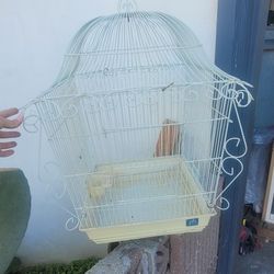Bird Cage 