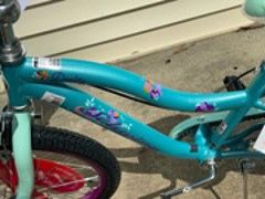 Schwinn deelite mint hot sale