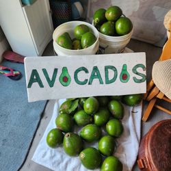 Fresh Organic Picked Yesterday From Our Tree In The Backyard, Today Only! $2 And $1 10467 Boynton Pl Cir. 9:00-12:00