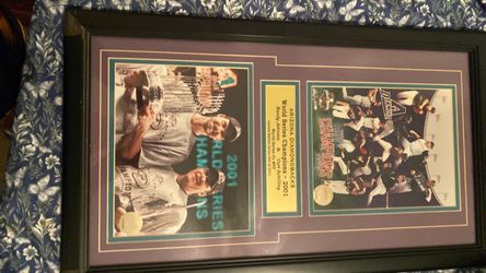2001 Arizona Diamondbacks World Series Champions Framed Photo