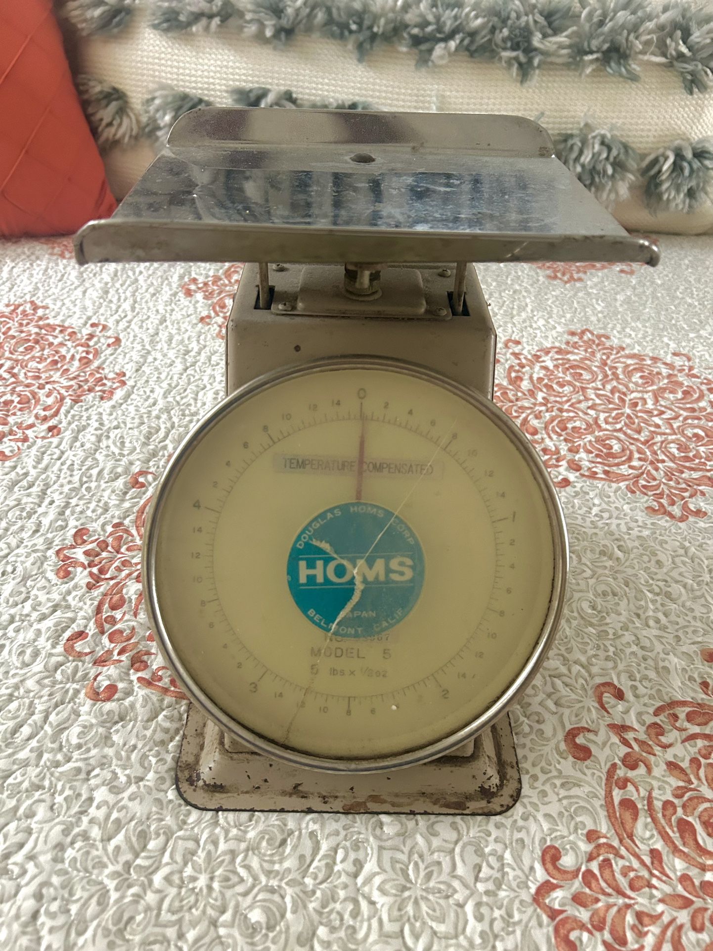 Douglas Homs Large Scale
