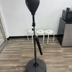 Everlast Standing speed bag 