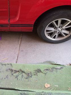 Looking for bowling balls