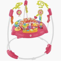 Fisher-Price Baby Bouncer Pink Petals Jumperoo