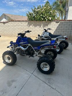 Yamaha Banshees