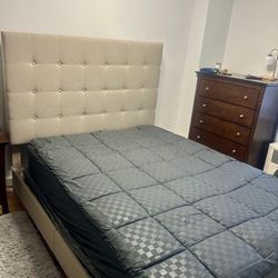 Sand Color Beige  NEW Bed Frame $180!!