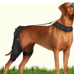 CAMRIER 2X Support Dog Knee Brace with Metal Strips 
SIZE: LARGE  Color: Black