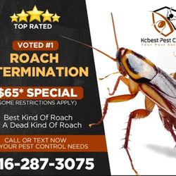 $65* Roaches