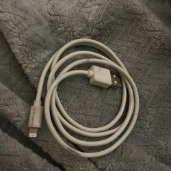 Wanta iPhone Charger 