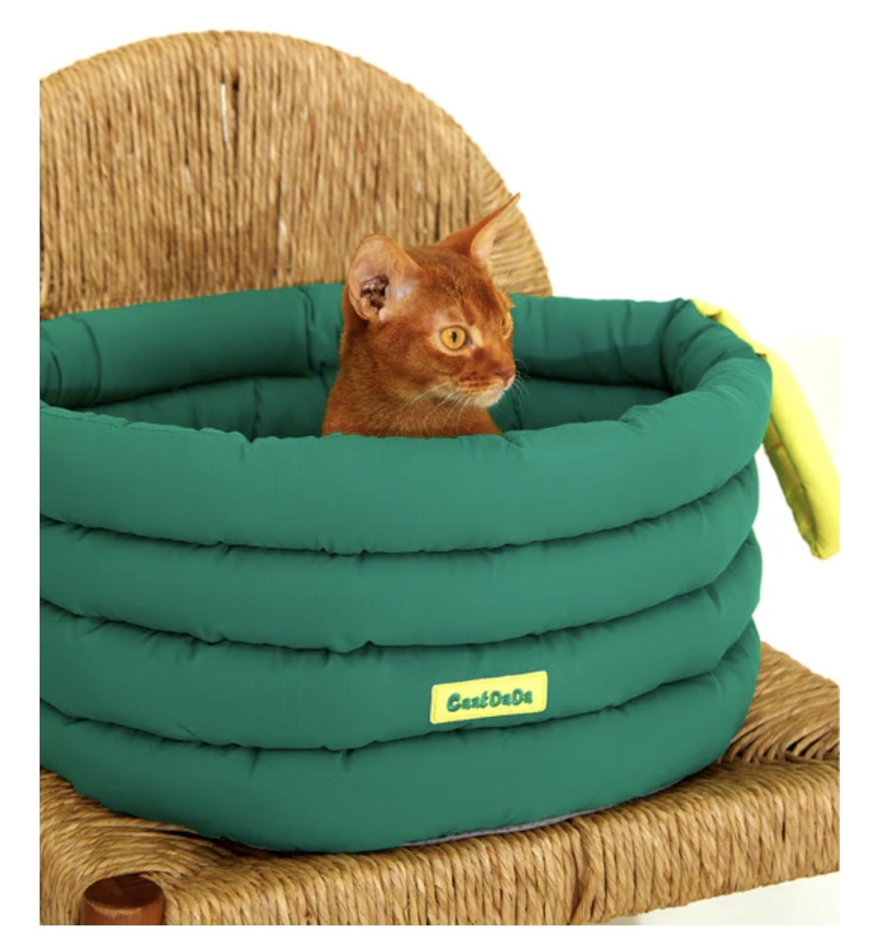 Magic Cuddle Cauldron – Cozy Cat Bed for All Seasons in Mossy Green | CaatDaDa