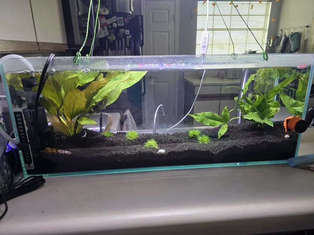 6.5g Fish Tank