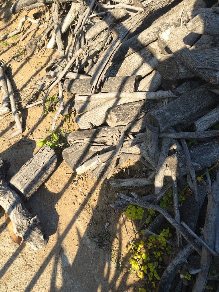 Fire Wood A Whole Bunch