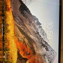 Apple iPad Pro 256GB 10.5in Wifi Version Space Gray 