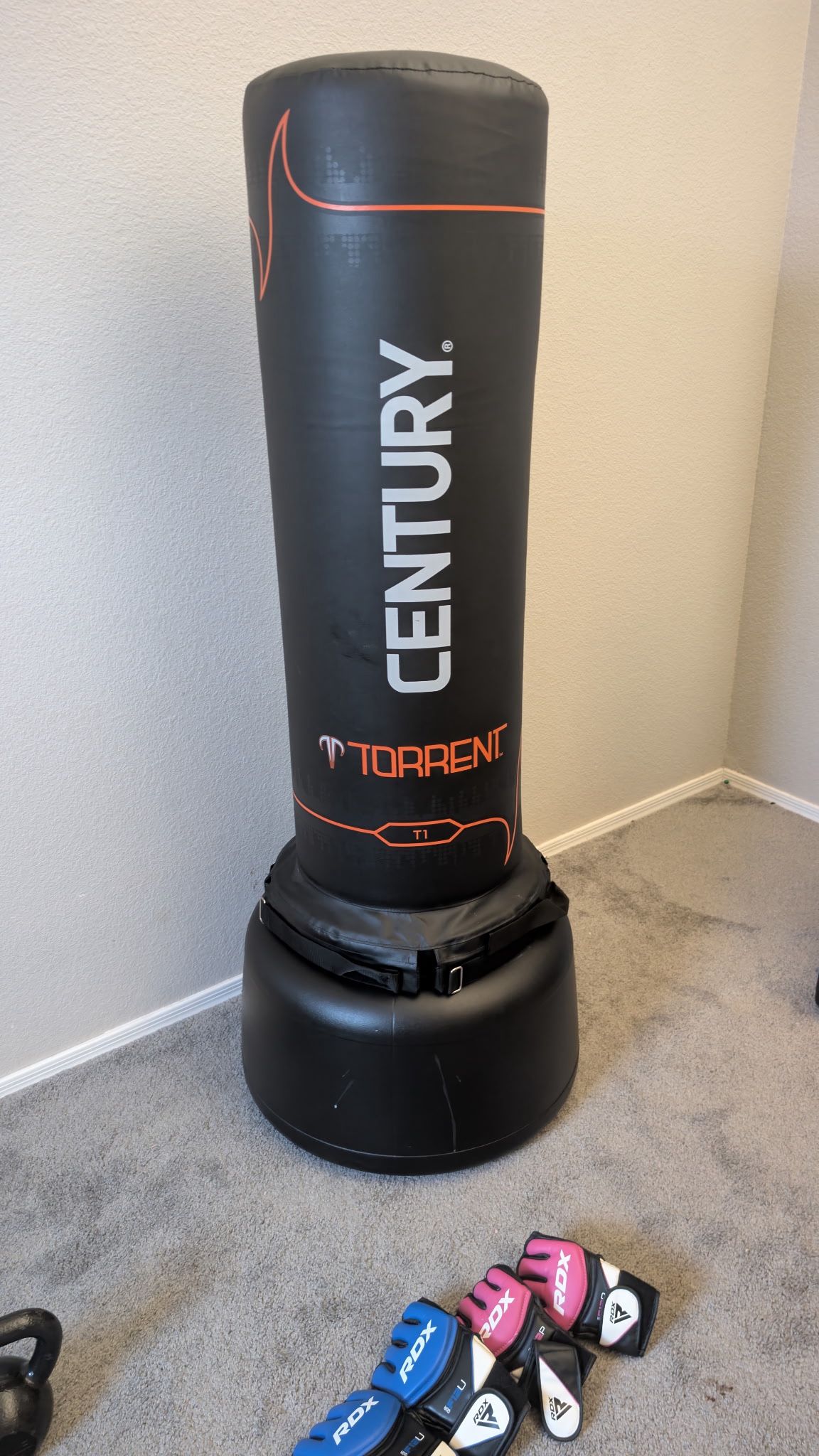 Century Torrent Punching Bag 
