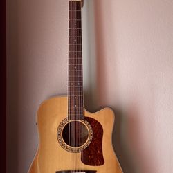 Washburn 12 String Guitar
