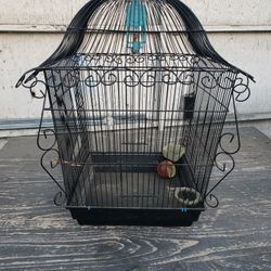 Bird Cage