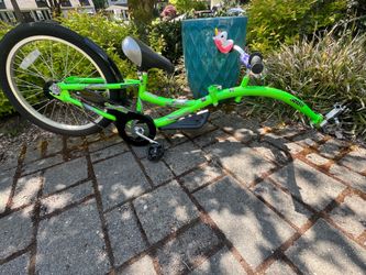 Copilot WeeRide tagalong bike attachment for kids