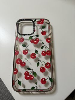 iPhone 13 Pro Max Case 