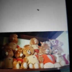 Teddy riskins dolls fifty dollars each , they're perfect