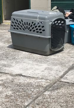 Big dog kennel