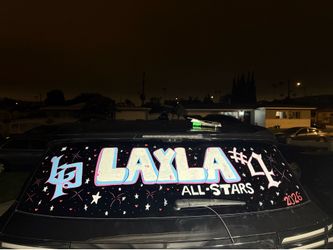 CAR WINDOW ART