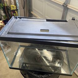 20 Gallon Fish Tank