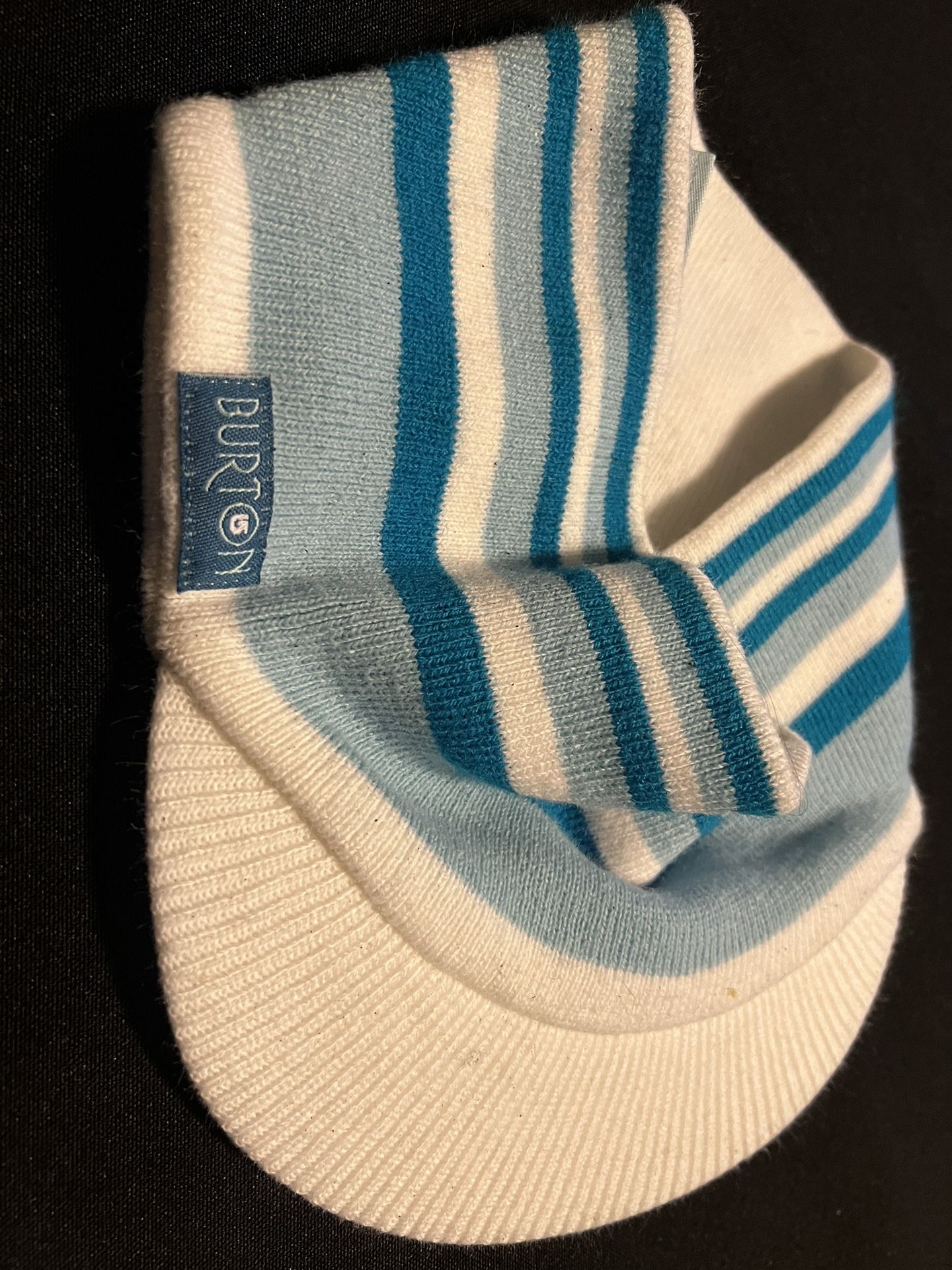 Burton Visor