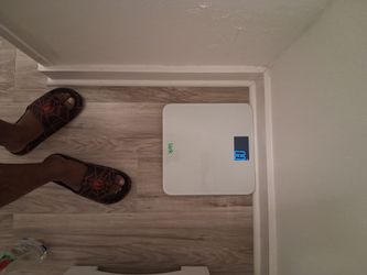 Scale