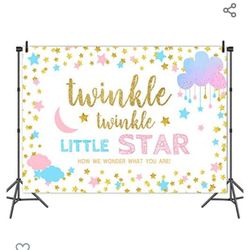 Backdrop Gender reveal Twinkle Twinkle Little Star