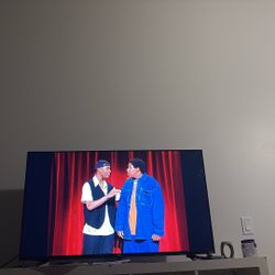 TV 55
