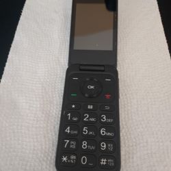 TCL Flip Phone 
