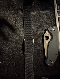 Polar loop 2