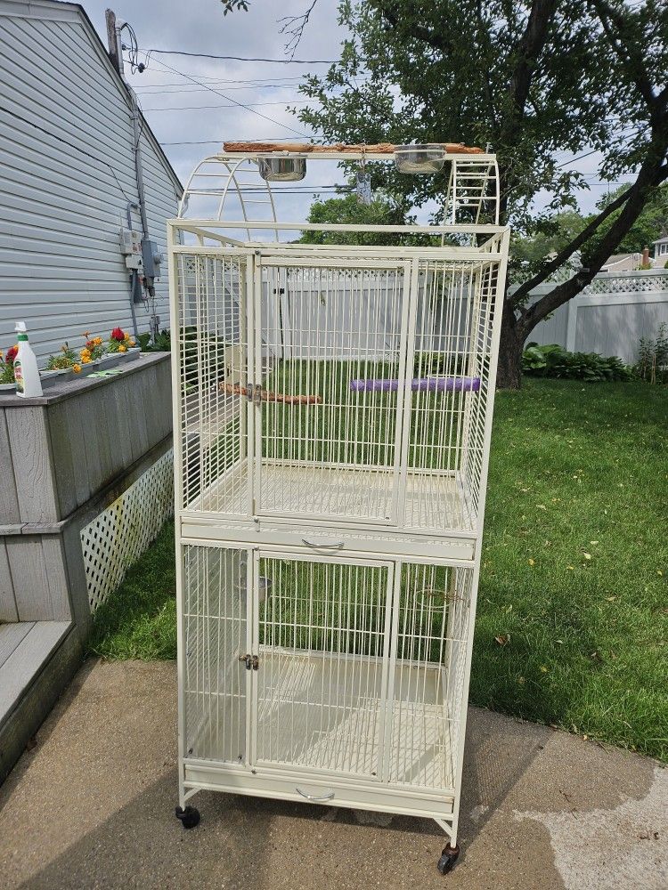 Big Bird Cage