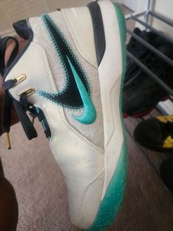 LeBron Shoes