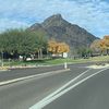Arizonawildlife