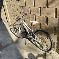 Specialized Bike 