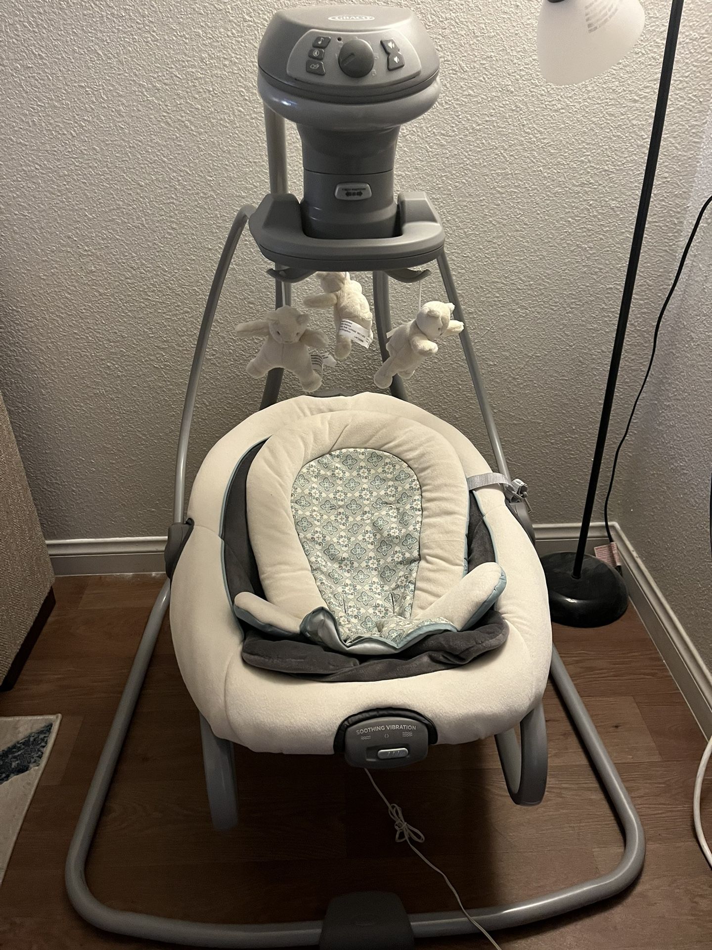 Baby Swing & Rocker