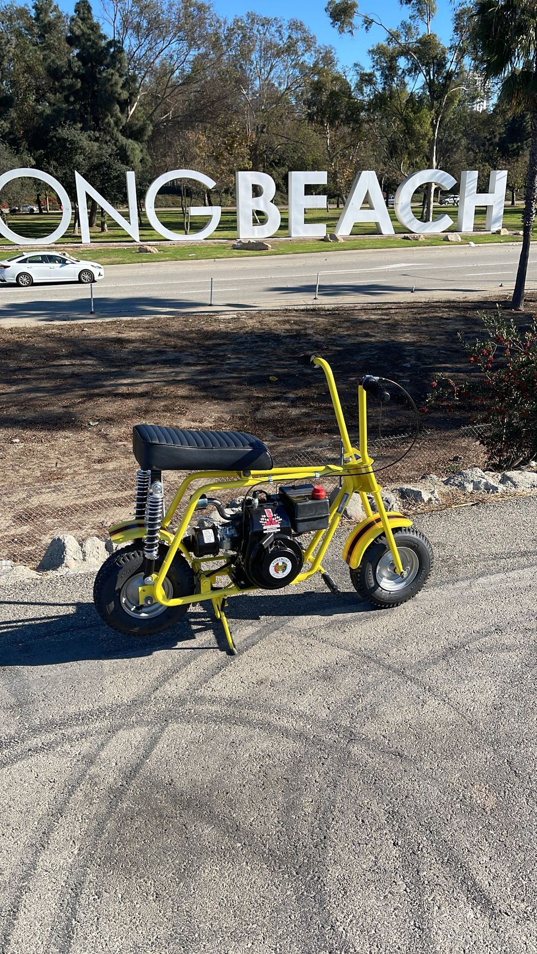 1974 Golden Pinto minibike mini bike