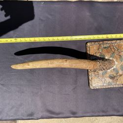 Local Artist’s Interpretation Of A Horn 🖼️ All Carved Wood 🖼️ 