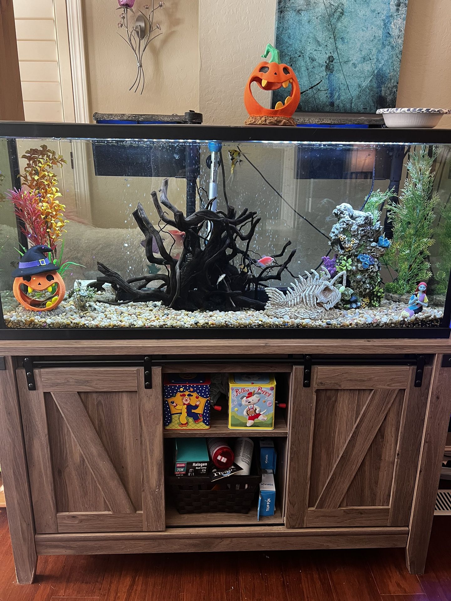 Fish Tank Complete Set Up 